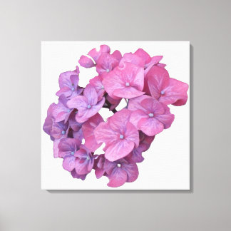 roze hortensia bloem modern floral minimal canvas afdruk