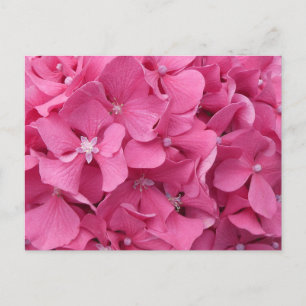 Roze Hortensia Close Up DIY Briefkaart