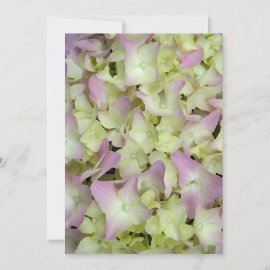 Roze Hortensia Post-Huwelijks Brunch Kaart (Achterkant)