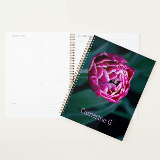 Roze humeurige tulp planner (Display)