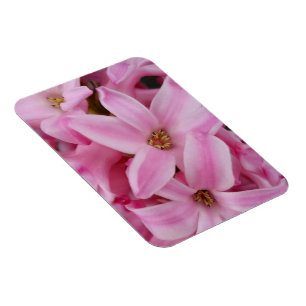 roze hyacineuze bloem magneet