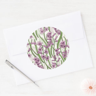 Roze Hyacint bloemen op natuurlijk wit Ronde Sticker