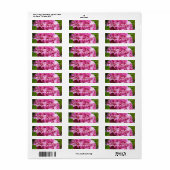 Roze Hydrangea Bloem Mailing Label (Full Sheet)