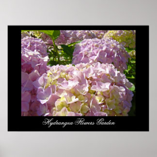 Roze Hydrangea Bloemen kunstprint Botanisch Poster