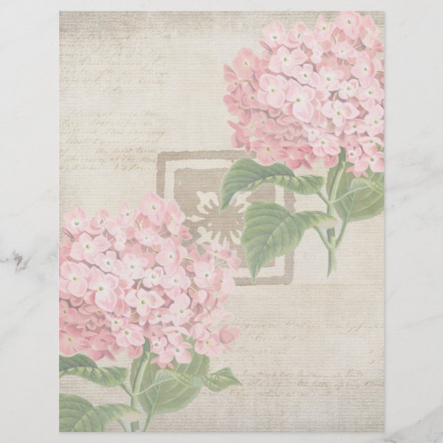 Roze Hydrangea Clusters II Briefhoofd (Voorkant)
