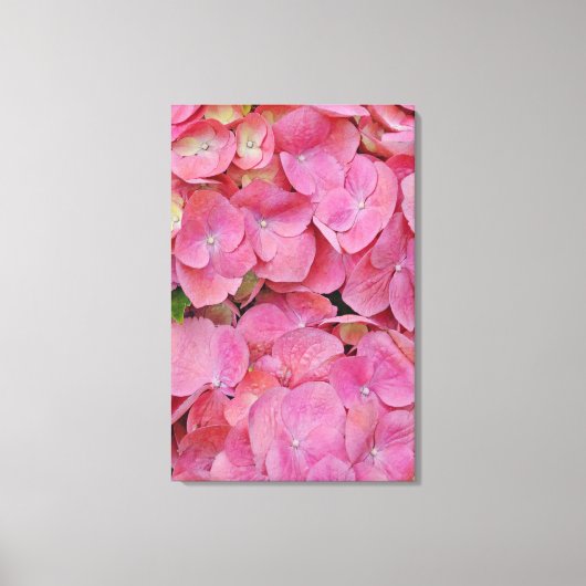 Roze hydrangea Flowers Canvas Afdruk (Voorkant)