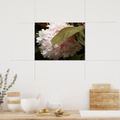 Roze hydrangea Flowers Poster (Keuken)