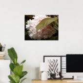 Roze hydrangea Flowers Poster (Thuiskantoor)