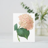Roze hydrangea Hortensia Bloem door Redoute Briefkaart (Staand voorkant)