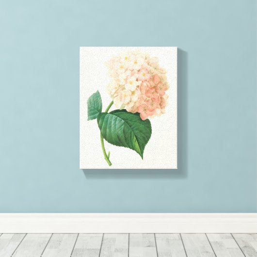 Roze hydrangea Hortensia Bloem door Redoute Canvas Afdruk (Insitu (Houten vloer))