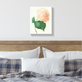  Roze hydrangea Hortensia Bloem door Redoute Canvas Afdruk (Insitu (Slaapkamer))