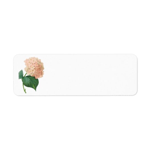 Roze hydrangea Hortensia Bloem door Redoute Etiket (Voorkant)