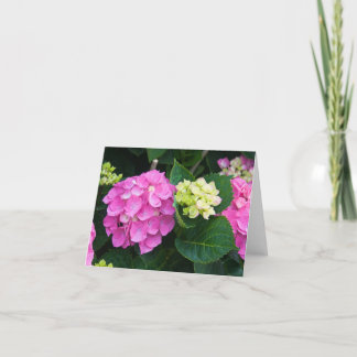 Roze Hydrangea hortensia Notecards Kaart