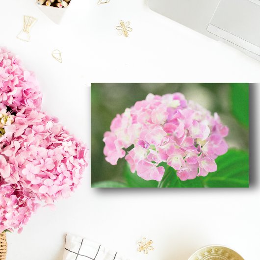 Roze hydrangea in de zomer tissuepapier