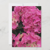 Roze hydrangea kaart (Voorkant)