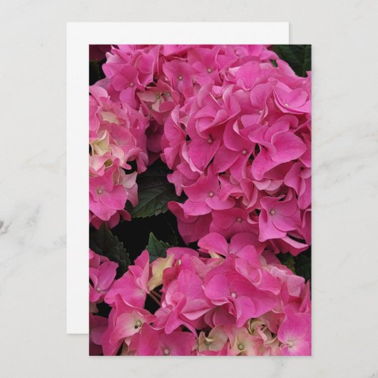 Roze hydrangea kaart (Voorkant / Achterkant)