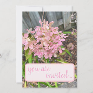 Roze hydrangea kaart