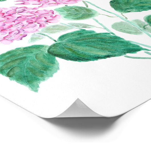 roze hydrangea poster (Hoek)