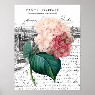  Roze Hydrangea Poster