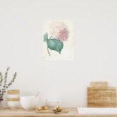 Roze hydrangea poster (Keuken)