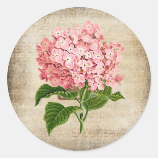 Roze Hydrangea Ronde Sticker (Voorkant)