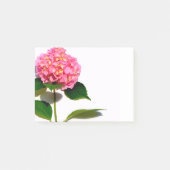 Roze hydrangea roze florroze bloem post-it® notes (Voorkant)