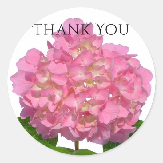Roze hydrangea roze florroze bloem ronde sticker (Voorkant)