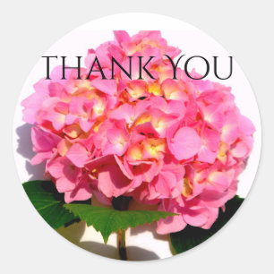 Roze hydrangea roze florroze bloem ronde sticker