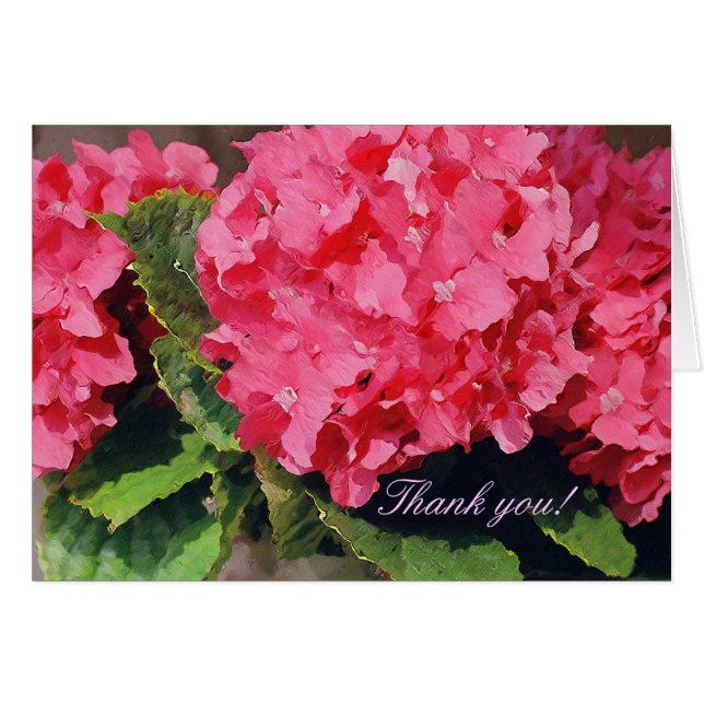 Roze hydrangeas (Voorkant Horizontaal)