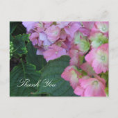 Roze hydrangeas briefkaart (Voorkant)