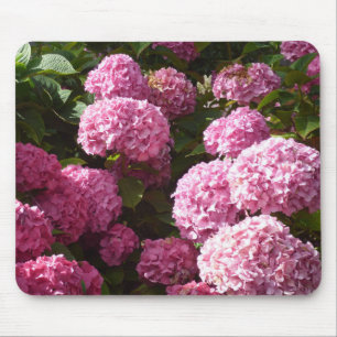 Roze hydrangeas muismat