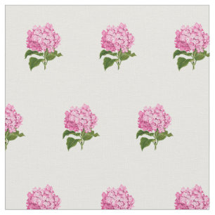 Roze hydrangeas stof