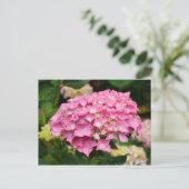 Roze hydrangebloemen briefkaart (Staand voorkant)