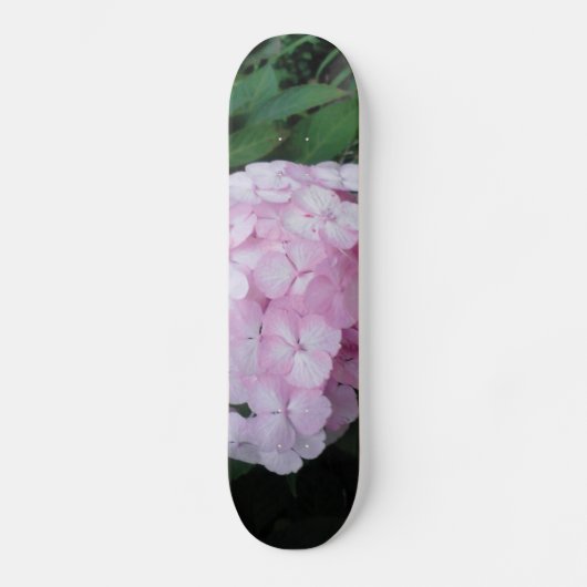 Roze Hydrangia Skateboard (Voorkant)