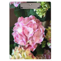 roze Hygrangea Klembord