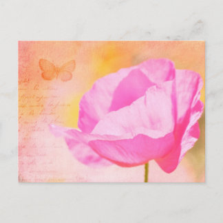 Roze IJslandse oppie Briefkaart