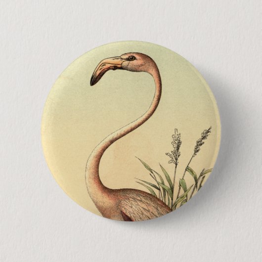  roze illustratie van Flamingo Ronde Button 5,7 Cm (Voorkant)