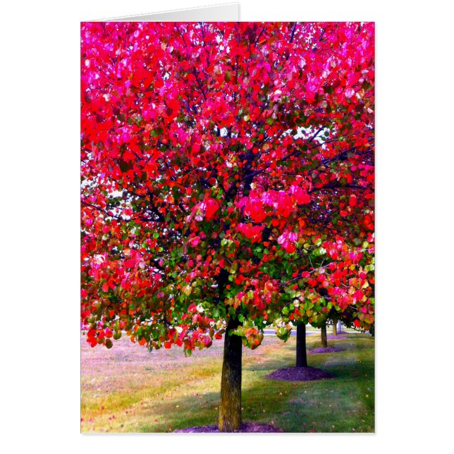 Roze impressionistische herfstbomen (Voorkant)