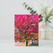 Roze impressionistische herfstbomen briefkaart (Staand voorkant)