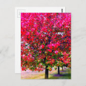Roze impressionistische herfstbomen briefkaart (Voorkant / Achterkant)