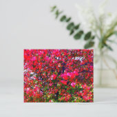 Roze impressionistische herfstbomen briefkaart (Staand voorkant)