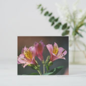 Roze inca Lily bloemen en betekenis Briefkaart (Staand voorkant)