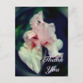 Roze Iris Abstracte Bloemen Bedankkaart Briefkaart (Voorkant)