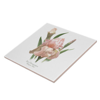  roze iris botanische stijl kunst tegeltje