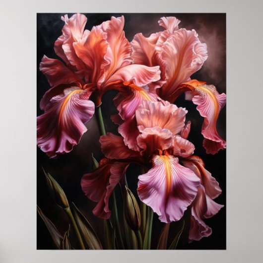 Roze Iris Flowers Art Print Poster (Voorkant)