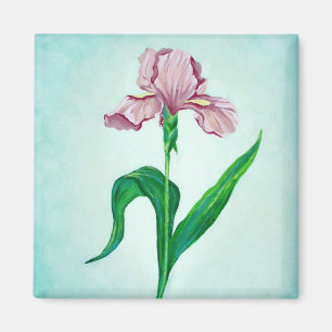 Roze Iris magnet Magneet