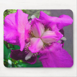 Roze Iris Mousepad Muismat