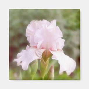 Roze iris - Vanity Magneet
