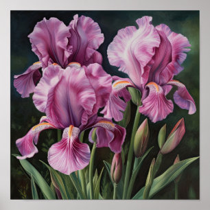 Roze Irissen Bloemenkunst Print Poster