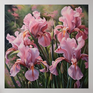 Roze Irissen Bloemenkunst Print Poster